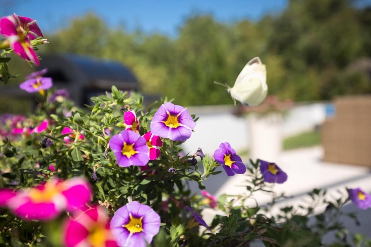 Villa Benić Crikvenica Esterno foto